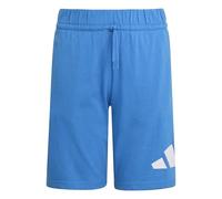 adidas Unisex - Bambini e Ragazzi Essentials Big Logo Shorts, Ray Blue/White, 15-16 Years