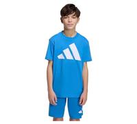 adidas Unisex - Bambini e Ragazzi Essentials Big Logo T-Shirt, Ray Blue/White, 13-14 Years