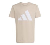 adidas Unisex - Bambini e ragazzi ESSENTIALS BIG LOGO T-SHIRT SET, Crystal Linen/white, 15-16 Years