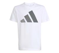 adidas Unisex - Bambini e Ragazzi Essentials Big Logo T-Shirt, White/Grey Three/Grey Four/Grey Five, 7-8 Years