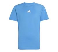 adidas Unisex - Bambini e Ragazzi Essentials T-Shirt, Ray Blue/White, 13-14 Years