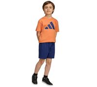 Conjunto adidas Lk Big Logo T-Set 160 Infantil Naos/Azul Oscuro 4 - 5 AÑOS