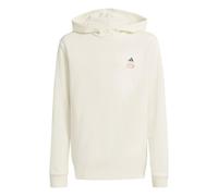 adidas Unisex - Bambini e Ragazzi Marvel Spider-Man Hooded Sweat, Off White/Dark Blue, 13-14 Years