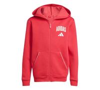 adidas Unisex - Bambini e Ragazzi Seasonals Collegiate Typography Hoody, Pure Ruby/Off White, 13-14 Years