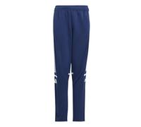 Adidas Unisex - Bambini e Ragazzi SQUADRA25 Training Pant Kids, Team Navy Blue 2/White, 13-14 Years