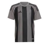 adidas Unisex - Bambini e Ragazzi Striped 24 Jersey Kids, Team Grey Four/Black, 11-12 Years