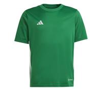adidas Unisex - Bambini e Ragazzi TABELA 23 Jersey Youth, Team Green/White, 15-16 Years