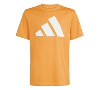adidas Unisex - Bambini e Ragazzi Train Essentials Big Logo T-Shirt, Pure Orange/White, 13-14 Years