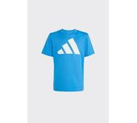 adidas Unisex - Bambini e Ragazzi Train Essentials Big Logo T-Shirt, Ray Blue/White, 11-12 Years