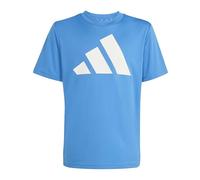 adidas Unisex - Bambini e Ragazzi Train Essentials Big Logo T-Shirt, Ray Blue/White, 15-16 Years