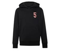 adidas Unisex Kids' Audi REVOLUT F1 Team Gabriel BORTOLETO Graphic II Hoodie