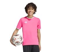 ADIDAS PERFORMANCE Camiseta funcional 'Entrada26' rosa 152 EUR