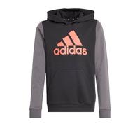adidas Unisex Kids' Sudadera con Capucha Essentials Big Logo Colorblock (Adolescentes)
