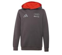adidas Unisex niños Audi Revolut Formula One Team 2026 Driver Sweatshirt, Grey strata, 9-10 Years