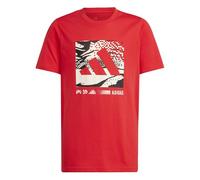 adidas Unisex niños Big Logo Camo Graphic Tshirt, Pure Ruby, 9-10 Years