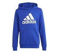 adidas Unisex niños Big Logo Essentials Cotton Hoodie, Semi Lucid Blue/White, 13-14 Years