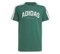 adidas Unisex niños Codes Collegiate Graphic T-Shirt, Collegiate Green, 13-14 Years