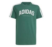 adidas Unisex niños Codes Collegiate Graphic T-Shirt, Collegiate Green, 9-10 Years