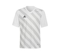 adidas Unisex niños Entrada 22 Graphic Jersey, White/Team Light Grey, 7-8 Years