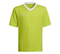 adidas Unisex niños Entrada 22 Jersey, Team Semi Sol Yellow, 5-6 Years