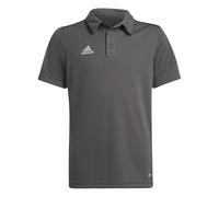 adidas Unisex niños Entrada 22 Polo Shirt, Team Grey Four, 5-6 Years