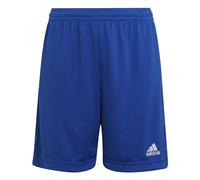 adidas Unisex niños Entrada 22 Shorts, Royal Blue, 5-6 Years