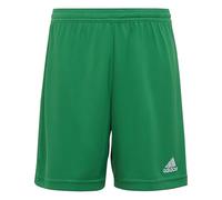 adidas Unisex niños Entrada 22 Shorts, Team Green, 7-8 Years