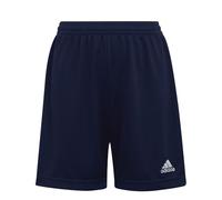 adidas Unisex niños Entrada 22 Shorts, Team Navy Blue 2, 9-10 Years