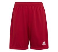 adidas Unisex niños Entrada 22 Shorts, Team Power Red 2, 9-10 Years