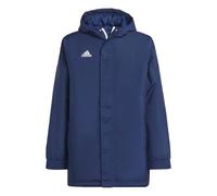 adidas Unisex niños Entrada 22 Stadium Jacket, Team Navy Blue 2, 9-10 Years