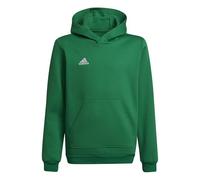 adidas Unisex niños Entrada 22 Sweat Hoodie, team green/white, 13-14 Years