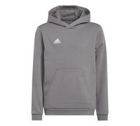 adidas Unisex niños Entrada 22 Sweat Hoodie, Team Grey Four, 7-8 Years
