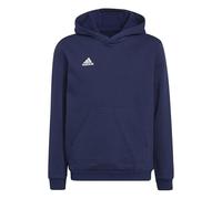adidas Unisex niños Entrada 22 Sweat Hoodie, Team Navy Blue 2, 9-10 Years