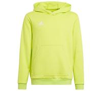 adidas Unisex niños Entrada 22 Sweat Hoodie, Team Semi Sol Yellow, 13-14 Years