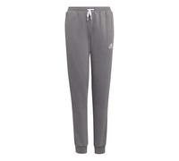 adidas Unisex niños Entrada 22 Sweat Pants, Team Grey Four, 7-8 Years