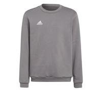 adidas Unisex niños Entrada 22 Sweat Top, Team Grey Four, 11-12 Years