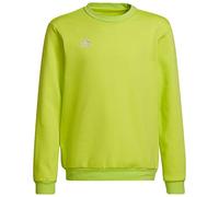 adidas Unisex niños Entrada 22 Sweat Top, Team Semi Sol Yellow, 11-12 Years