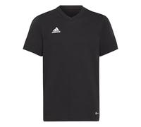 adidas Unisex niños Entrada 22 Tee, Black, 11-12 Years