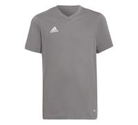 adidas Unisex niños Entrada 22 Tee, team grey four, 11-12 Years
