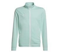 adidas Unisex niños Entrada 22 Track Jacket, clear mint, 15-16 Years