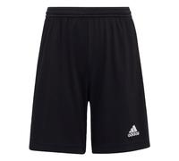 adidas Unisex niños Entrada 22 Training Shorts, Black, 13-14 Years