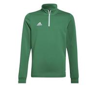 adidas Unisex niños Entrada 22 Training Top, Team Green/White, 13-14 Years