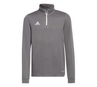 Adidas - Sudadera Entrada 22 Niño, Unisex, Grey Four, 140 cm