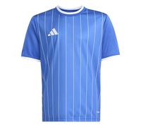 adidas Unisex niños Entrada26 Graphic Jersey Kids Shirt, Team Royal Blue/White, 13-14 Years