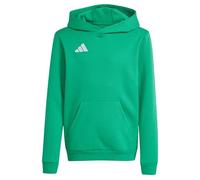 adidas Unisex niños Entrada26 Hoodie Kids Sweatshirt, Team Green/White, 15-16 Years