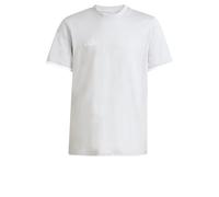 adidas Unisex - Bambini e Ragazzi Entrada26 tee Kids, Team Light Grey/White, 9-10 Years