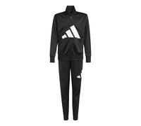 adidas Unisex niños Essentials Big Logo Climacool Track Suit, black/white, 15-16 Years