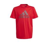 adidas Unisex niños Essentials Big Logo Cotton tee, Better Scarlet/Shadow Red, 9-10 Years