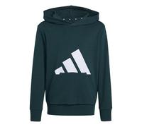 Adidas Unisex niños Essentials Big Logo Hoodie, Aurora Ivy/White, 15-16 Years