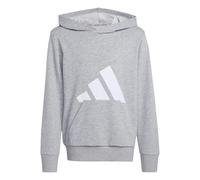 adidas Unisex niños Essentials Big Logo Hoodie, Medium Grey Heather/White, 11-12 Years